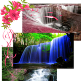 com.somaye.saf