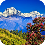 com.lyx.nepal