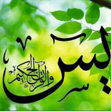 ir.sooreh.yasin