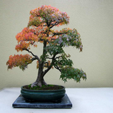 ir.osole.haras.kardan.d1