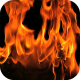 com.pg.fire