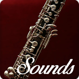 com.jzuliachan.ClarinetSounds