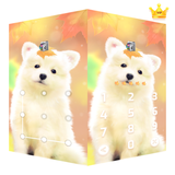 com.domobile.aut.livepuppy