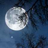 it.mm.android.relaxnight