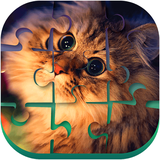 com.piecejigsawpuzzles.puzzledom