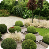 com.zalebox.garden.design.ideas.p1