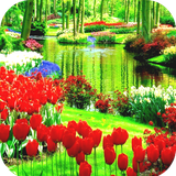 com.Garden.wallpaper.flowerwallpaper.flowergarden.forestwallpaper