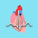 com.singhealth.clinicalpearlsecg