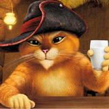 com.ir.pussinboots