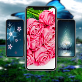 com.flowerwallpaper.roses