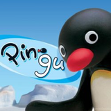 ir.ir.pioionuguy
