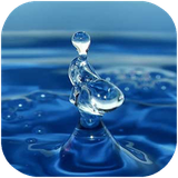didar.abshenasi