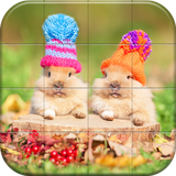 com.style.games.puzzle.pets