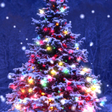 ru.serjik.christmaslive