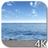 wavesinsea.bha.com
