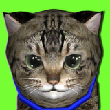 com.akrasoft.hikitty
