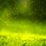 com.lux.rain.live.wallpaper
