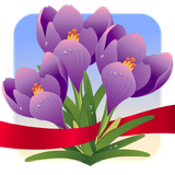 photofram.es.spring