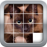 com.SeraLogic.SliderMania_Animals