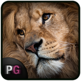 com.persiagraph.livewallpaper.kingofthejungle