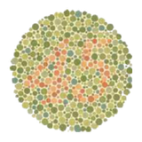 com.SeewaldSolutions.ColorBlindnessSimulator