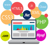 edu.net.working