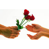 pishrafteh.hmsrkhob