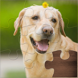 com.yunbu.jigsaw.puzzles.free