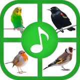 com.bird.calls.sounds.ringtones