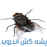 pashe.com