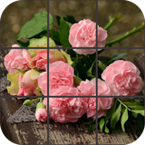 com.tordusgames.puzzles.flowers
