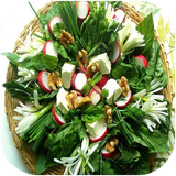 golestan.sabzi