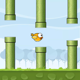 com.plusbim.superidiotbird2