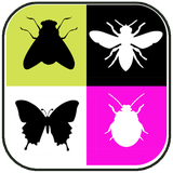 net.andromo.dev353832.app710476