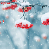 com.amaxlwps.winter2017