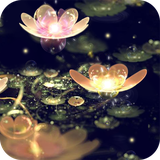 com.xw.lwallpaper.waterlotuslantern
