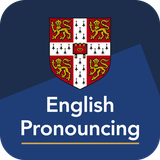 org.cambridge.dictionaries