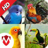 com.mickyappz.birdsounds