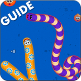 com.dynaxi.guideforwormssnake