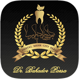 com.dr.bbparsa
