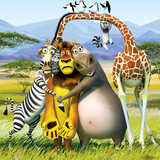 ir.ir.madagascar