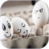 fars.hasadat