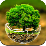 com.tree.wallpapers.treewallpaper
