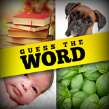 com.randomlogicgames.guesstheword