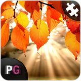 com.persiagraph.puzzroid2016.fall