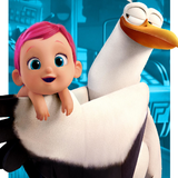 com.ir.storks