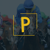 io.puntersbook
