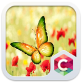com.cyou.cma.clauncher.theme.v53f4a24d445315185224e6cb