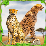 com.glufun.Cheeta.furious