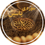 com.qoran.easeen